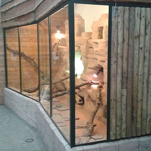 bearded dragon enclosure