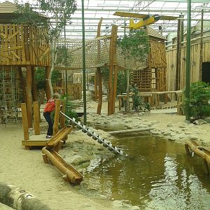 another view in the new play-ground hall