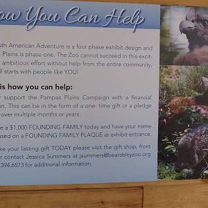 Contributing to Pampas Plains