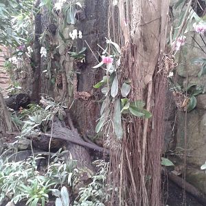 part of the butterfly-hall