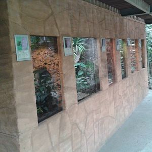 Amphibian- and reptile enclosures