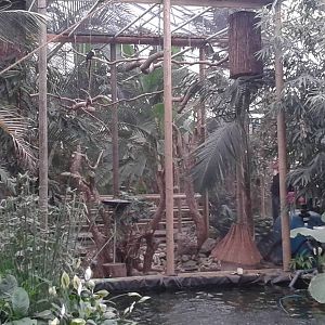 tucan enclosure