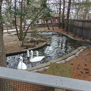 New England Farmyard- Waterfowl Pond #2