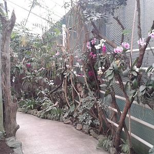 view in the butterfly-hall