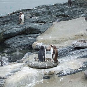 Akvariet Bergen 10.08.2010
