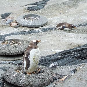 Akvariet Bergen 10.08.2010