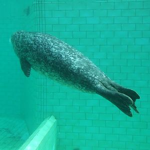 Akvariet Bergen 10.08.2010