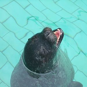 Akvariet Bergen 10.08.2010
