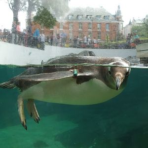 Akvariet Bergen 10.08.2010