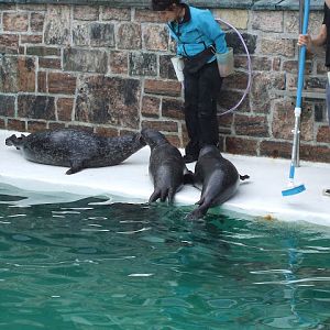 Akvariet Bergen 10.08.2010