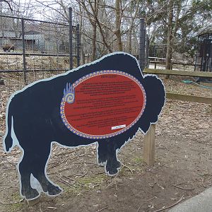 North American Plains- Bison Legend
