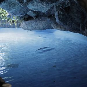 Acuario Nacional de Cuba