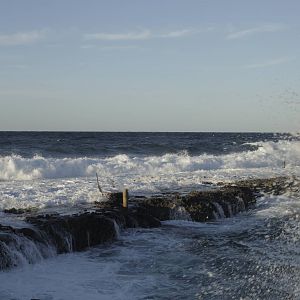 Acuario Nacional de Cuba