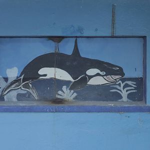 Acuario Nacional de Cuba