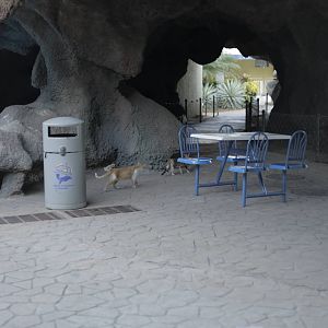 Acuario Nacional de Cuba