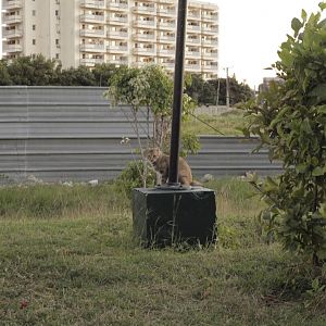 Acuario Nacional de Cuba