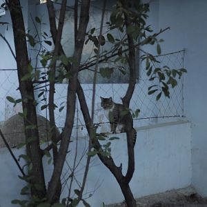 Acuario Nacional de Cuba