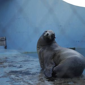 Acuario Nacional de Cuba
