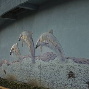 Acuario Nacional de Cuba