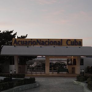 Acuario Nacional de Cuba