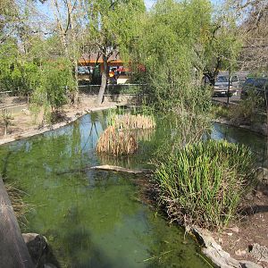 Tule Islands - Native Waterfowl Exhibit