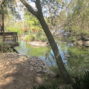 Tule Islands - Native Waterfowl Exhibit