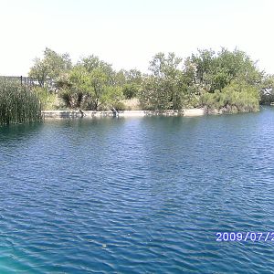 Duck Pond - July 2009