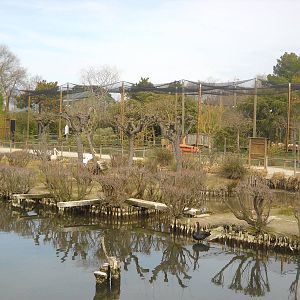 Lake and walk-in aviary march 2013