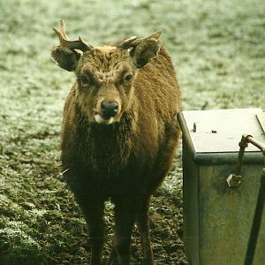 Mr Smith 18th December 1999