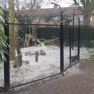 the new caracal-enclosure