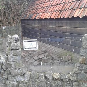 the second meerkat-enclosure