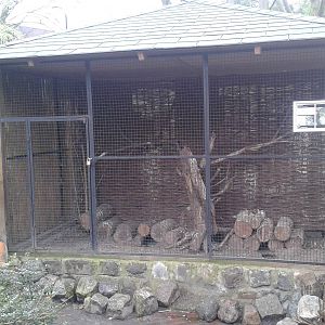 aviary of the burrowing owls