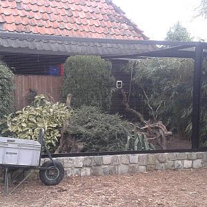 saki and common marmoset enclosure