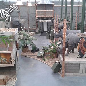 Africa exhibition with numberous replicas