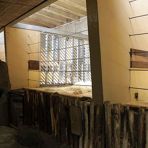 Aalborg Zoo - Elephant House