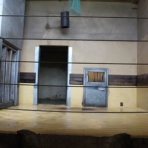 Aalborg Zoo - Elephant House