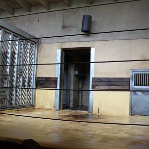 Aalborg Zoo - Elephant House