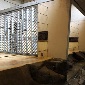 Aalborg Zoo - Elephant House