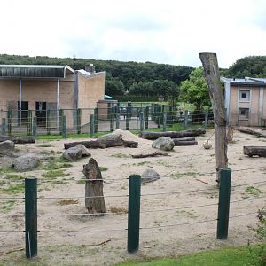 Aalborg Zoo - Elephant exhibit