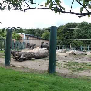 Aalborg Zoo - Elephant exhibit