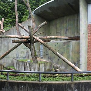 Aalborg Zoo - Orangutan exhibit (1)