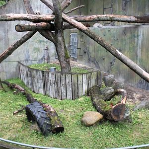 Aalborg Zoo - Orangutan exhibit (1)