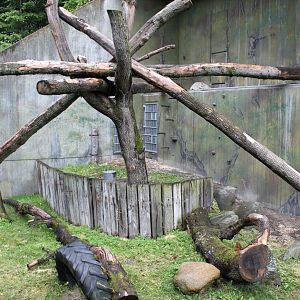 Aalborg Zoo - Orangutan exhibit (1)