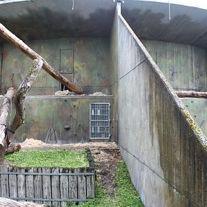 Aalborg Zoo - Orangutan exhibits