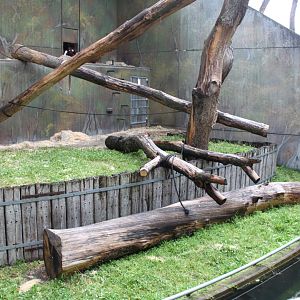 Aalborg Zoo - Orangutan exhibit (2)