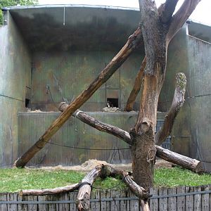 Aalborg Zoo - Orangutan exhibit (2)