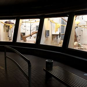 Aalborg Zoo - Orangutan House