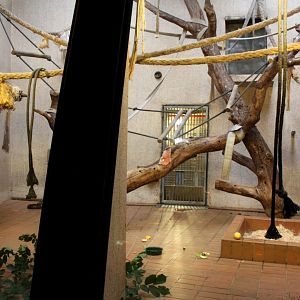 Aalborg Zoo - Orangutan House (2)