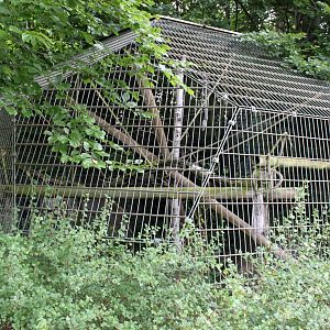 Aalborg Zoo - Old lemur exhibit