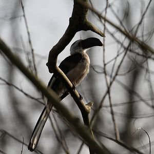 More ID Help Needed, Please